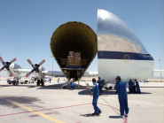 AM cargo s.r.o.
