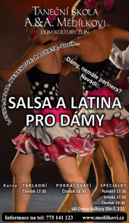 Aleš Mědílek