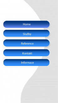 Ing. Daniel Čížek