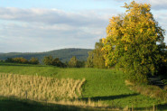 Věra Bártová