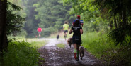 Dogs and fun, s.r.o.