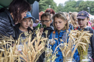 Regionální agrární komora Královéhradeckého kraje