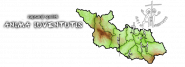 Anima Iuventutis, z. s.