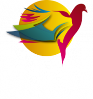 Václav Holub