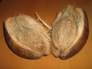 VASANA IMPEX s.r.o.