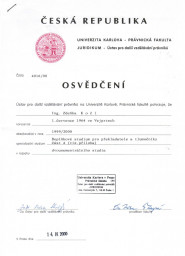 ZDEŇKA KOČÍ