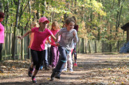 AMA SCHOOL - základní škola a mateřská škola montessori o.p.s.