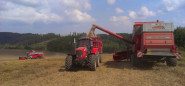 AGRO Rozstání, družstvo