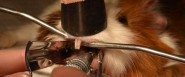 VETOPET s.r.o.