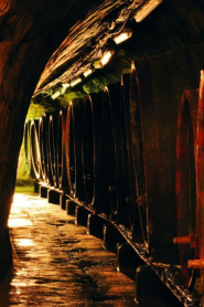 AGRODRUŽSTVO -družstvo NOVÝ ŠALDORF