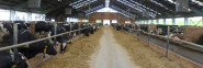 Agro - družstvo MORAVA