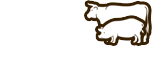 BOCUS, a.s.