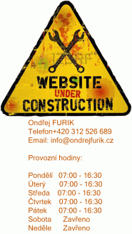 Ondřej Furik
