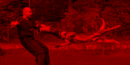 CZECHDOGSPORT s.r.o.