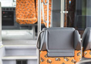 GW Train Regio a.s.