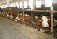 UNIAGRO, s.r.o.
