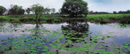 REGION POODŘÍ