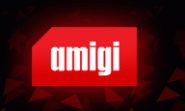 Amigi consulting s.r.o.