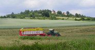 Zemědělské družstvo Čížová