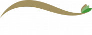 AVEFLOR, a.s.