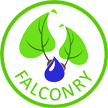 Falconry s.r.o.