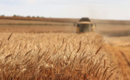 Agropodnik Humburky, a.s.