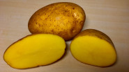 VIKA Kameničná a.s.