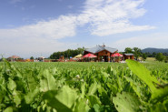 Všesportovní areál OBŘÍ SUD JAVORNÍK s.r.o.