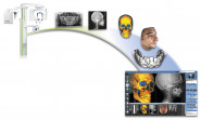 DENTALMED, s.r.o. organizační složka DENTALMED
