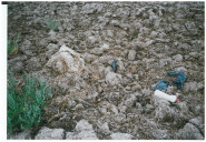 AGRO Jevišovice, a.s.