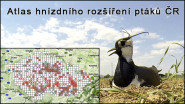 Česká zemědělská univerzita v Praze