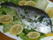 PIZZA FUTURA, s.r.o.