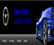 Pavel Kristl