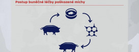 Rumburská 89, 27721 Liběchov