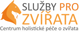 Karlova 314/14, 26601 Beroun