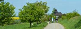 Petrov 269/8, 60200 Brno