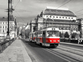 U boroviček 648/1, 16300 Praha